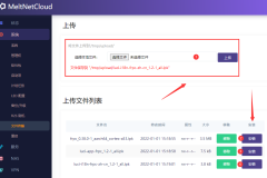 OpenWrt 安装使用 FRP 内网穿透教程