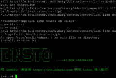OpenWRT 使用 DDNSTO 内网穿透安装使用教程