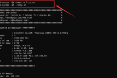 一键搭建 L2TP/IPSec 代理服务器教程