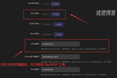 PassWall 插件 V2ray 无法更新解决方法
