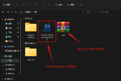 Clash For Windows 客户端中文汉化教程