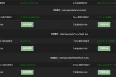 OpenClash 内核更新失败的解决方法
