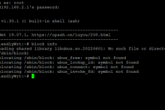 OpenWRT 挂载报错 libubus.so.20220601 解决办法