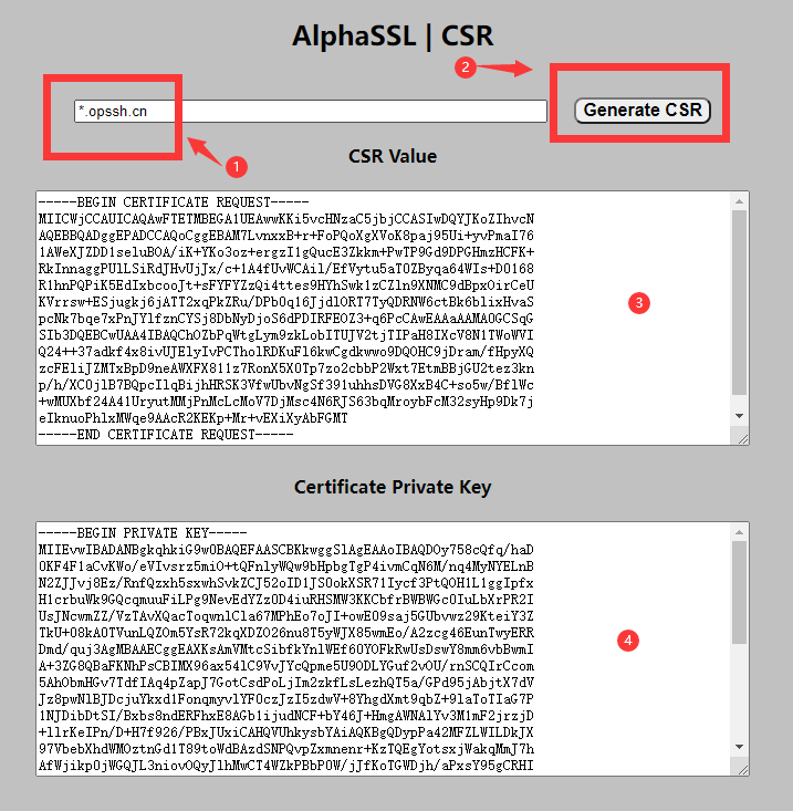 生成 CSR信息