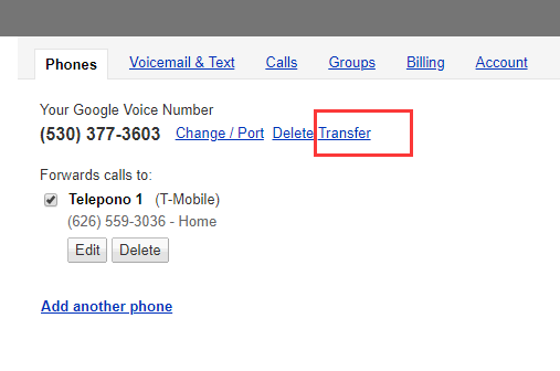 进行Google Voice转移操作