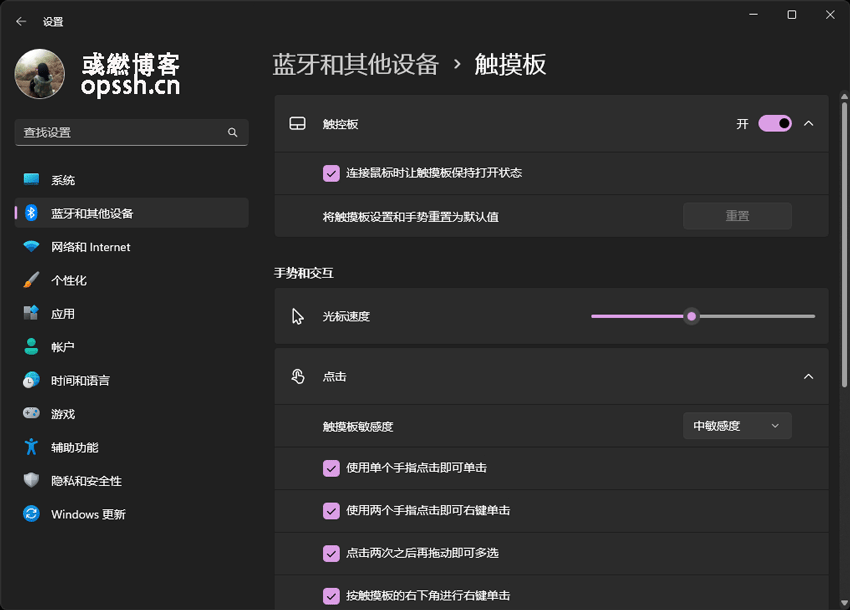 设置触摸板的个人使用习惯