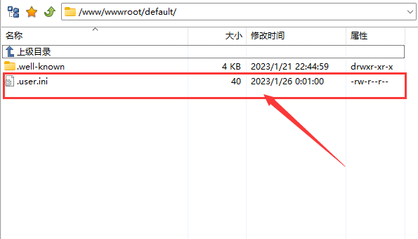 .USER.INI 文件无法删除的解决办法