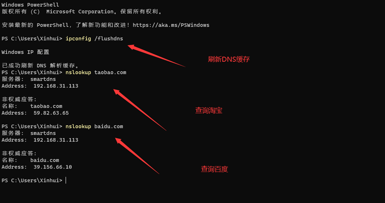 执行nslookup进行查询结果